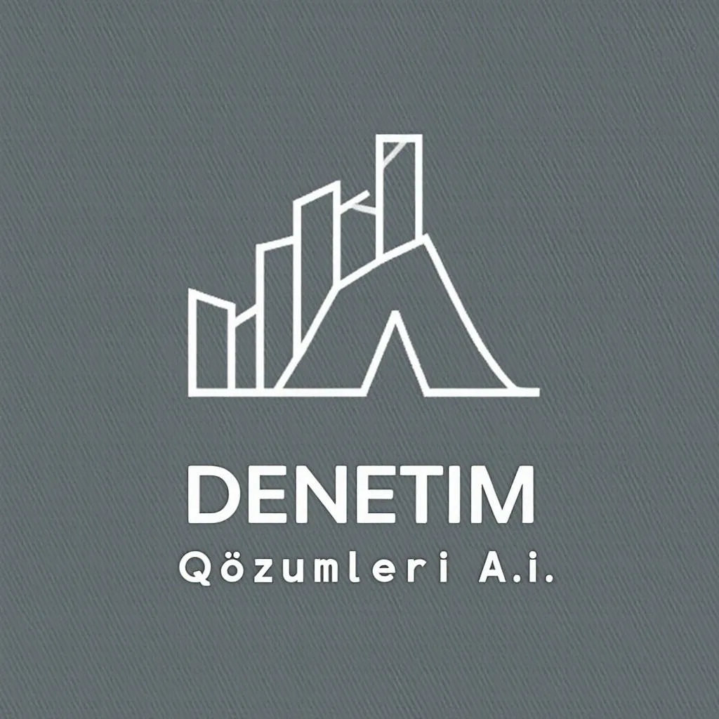 Denetim Çözümleri A.Ş. Logo